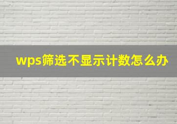 wps筛选不显示计数怎么办