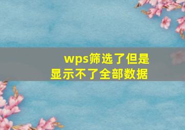 wps筛选了但是显示不了全部数据