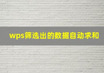 wps筛选出的数据自动求和