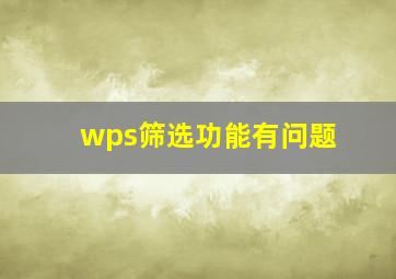 wps筛选功能有问题