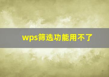 wps筛选功能用不了