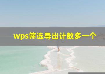 wps筛选导出计数多一个