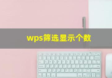 wps筛选显示个数