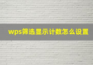 wps筛选显示计数怎么设置