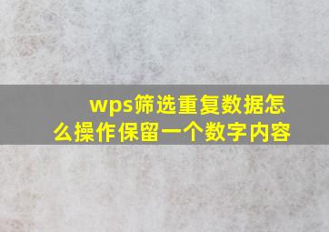 wps筛选重复数据怎么操作保留一个数字内容