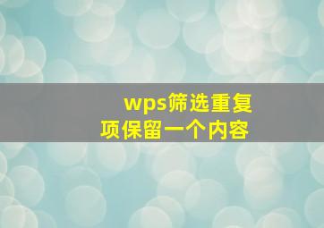 wps筛选重复项保留一个内容