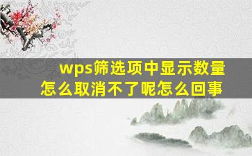 wps筛选项中显示数量怎么取消不了呢怎么回事