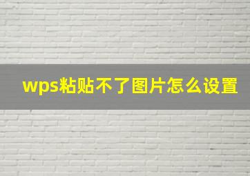 wps粘贴不了图片怎么设置