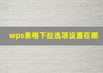 wps表格下拉选项设置在哪