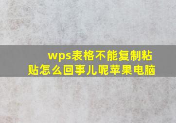 wps表格不能复制粘贴怎么回事儿呢苹果电脑