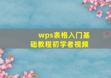 wps表格入门基础教程初学者视频