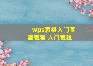 wps表格入门基础教程 入门教程