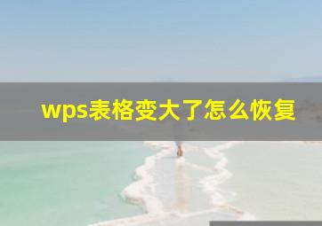 wps表格变大了怎么恢复