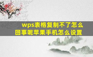 wps表格复制不了怎么回事呢苹果手机怎么设置