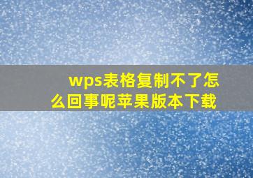 wps表格复制不了怎么回事呢苹果版本下载