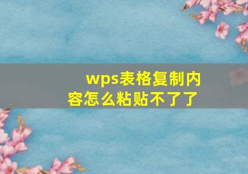 wps表格复制内容怎么粘贴不了了