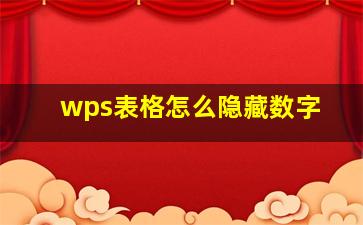 wps表格怎么隐藏数字