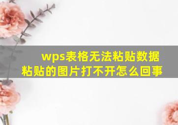 wps表格无法粘贴数据粘贴的图片打不开怎么回事