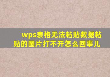 wps表格无法粘贴数据粘贴的图片打不开怎么回事儿