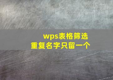 wps表格筛选重复名字只留一个