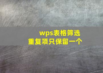 wps表格筛选重复项只保留一个