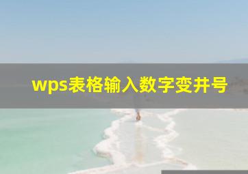 wps表格输入数字变井号