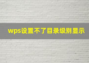 wps设置不了目录级别显示