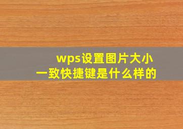 wps设置图片大小一致快捷键是什么样的