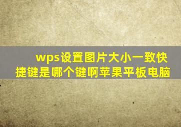 wps设置图片大小一致快捷键是哪个键啊苹果平板电脑