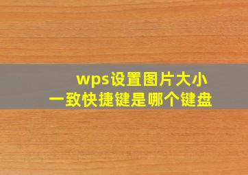 wps设置图片大小一致快捷键是哪个键盘