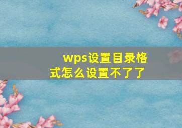 wps设置目录格式怎么设置不了了