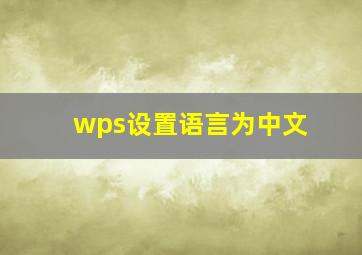 wps设置语言为中文