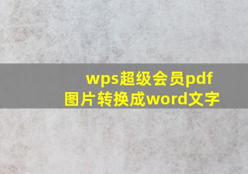 wps超级会员pdf图片转换成word文字