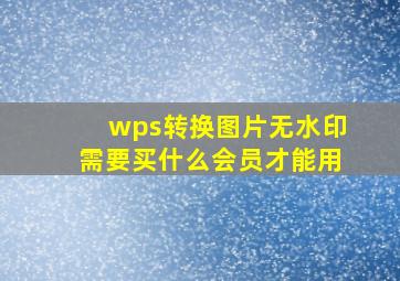 wps转换图片无水印需要买什么会员才能用