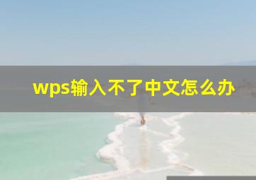 wps输入不了中文怎么办