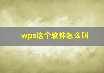 wps这个软件怎么叫