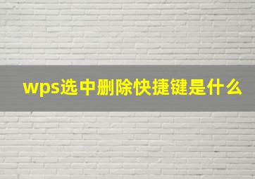 wps选中删除快捷键是什么