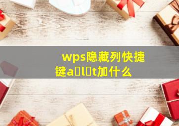 wps隐藏列快捷键a l t加什么