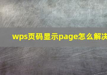 wps页码显示page怎么解决