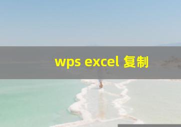 wps excel 复制