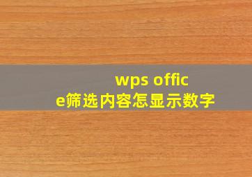 wps office筛选内容怎显示数字