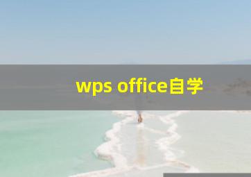 wps office自学