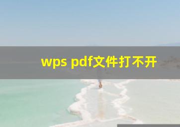 wps pdf文件打不开