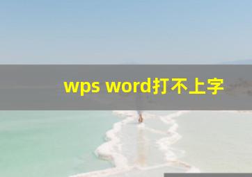 wps word打不上字