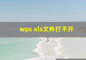 wps xls文件打不开