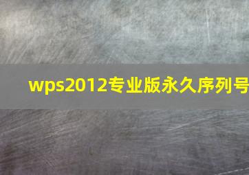 wps2012专业版永久序列号