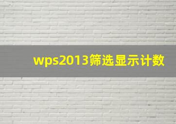 wps2013筛选显示计数