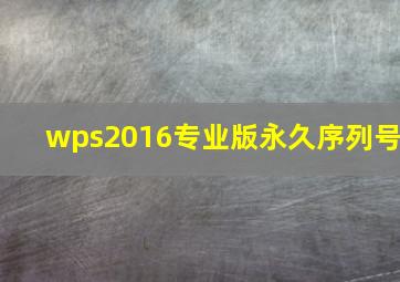 wps2016专业版永久序列号