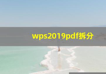 wps2019pdf拆分