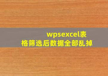 wpsexcel表格筛选后数据全部乱掉